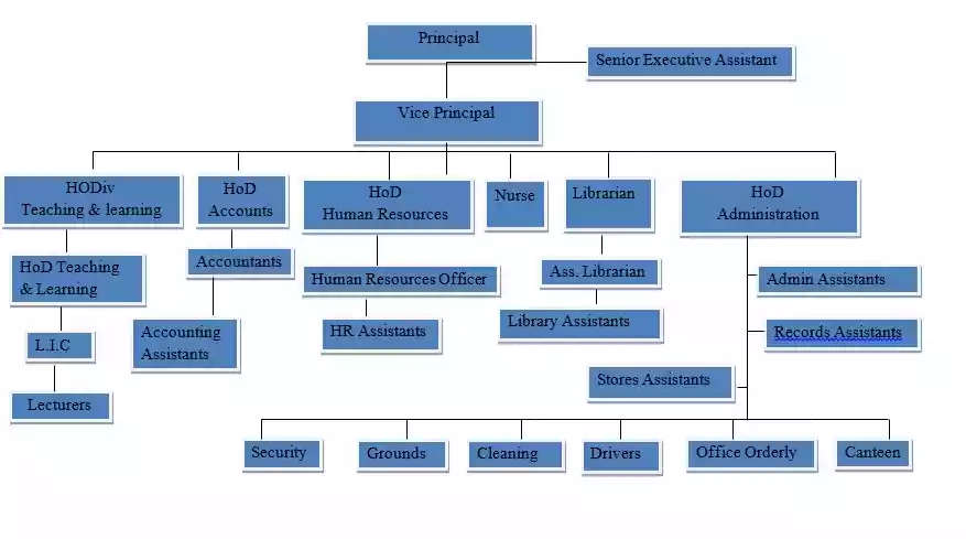 kwekwe Polytechnic Reporting Structure